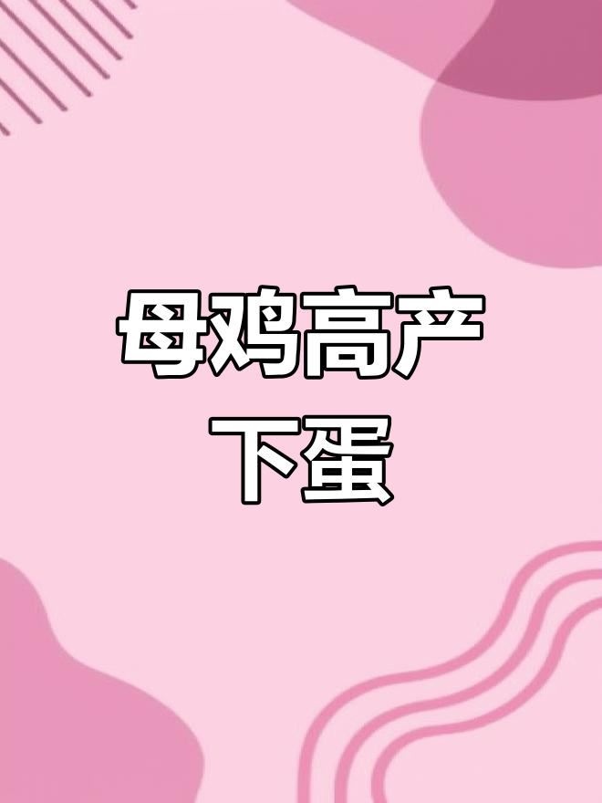 老母鸡下蛋实拍,一天两个超能产