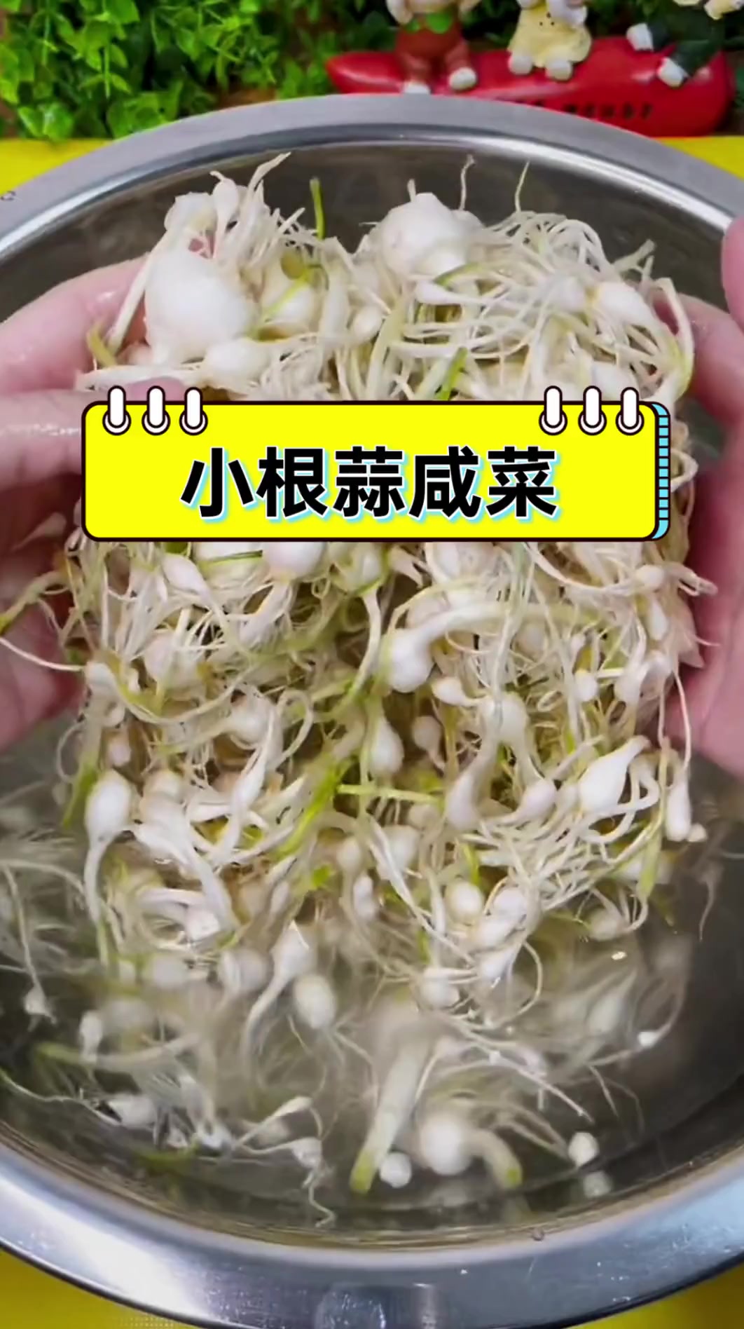 小根蒜咸菜