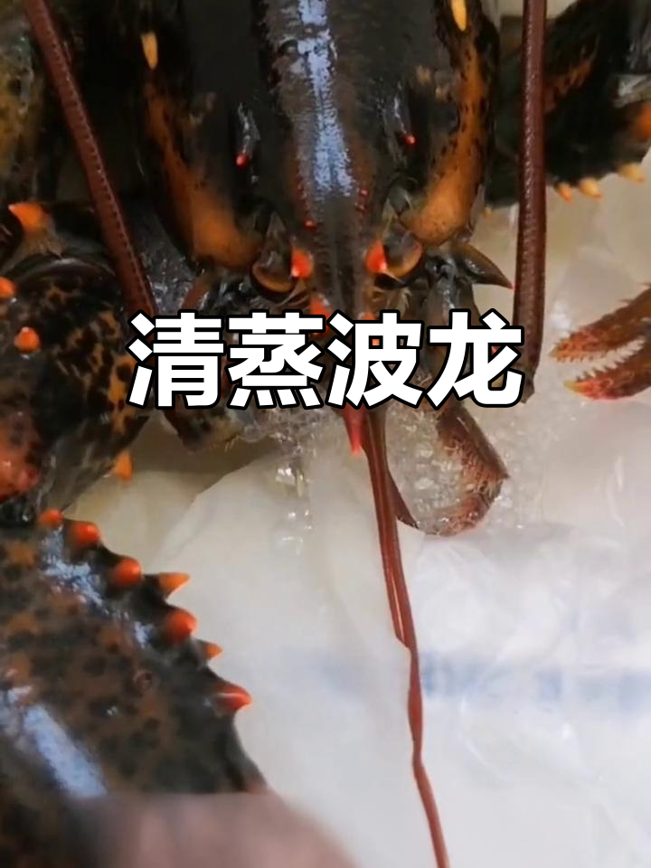 波士顿龙虾清蒸做法,肉质鲜美