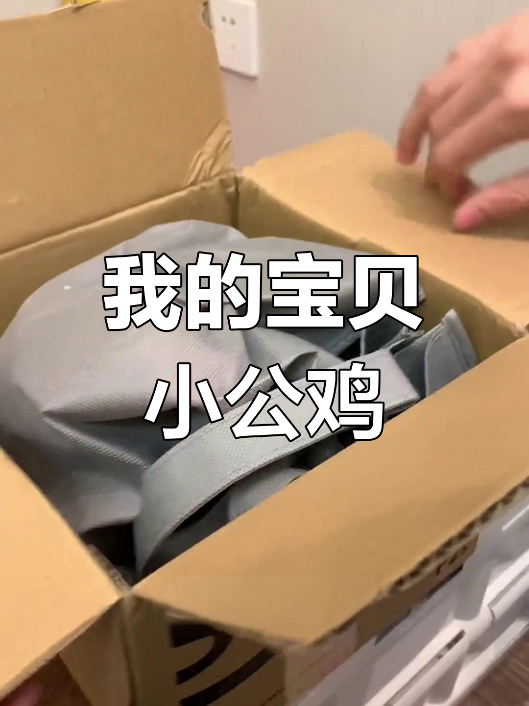 买了只鸡,竟然这么可爱!公母都有,还带它环游中国