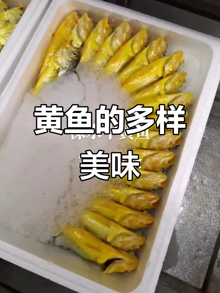 舟山黄鱼鲜美无比,多种做法尽显独特风味