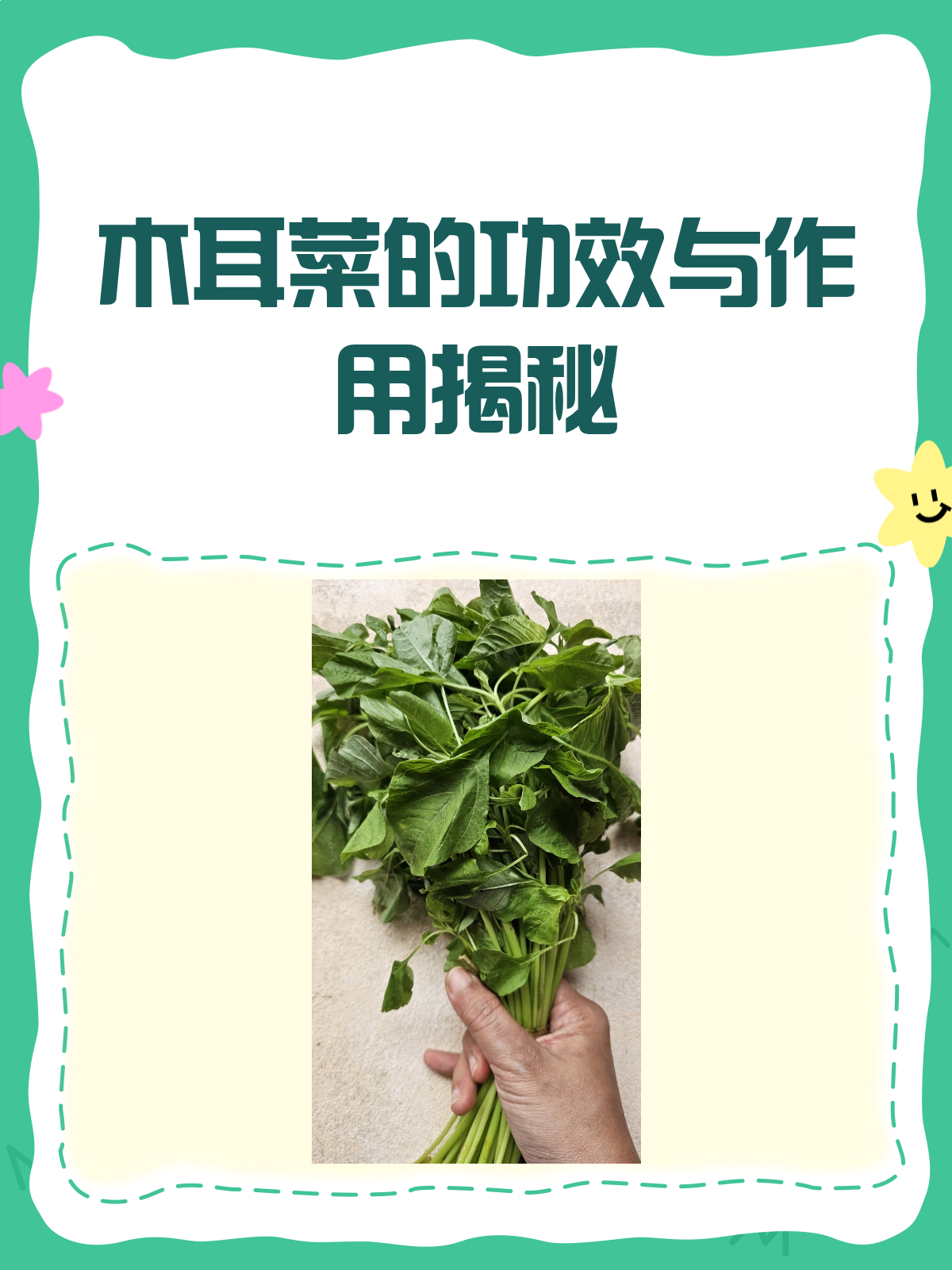 木耳菜居然这么有用清热解毒还润肠