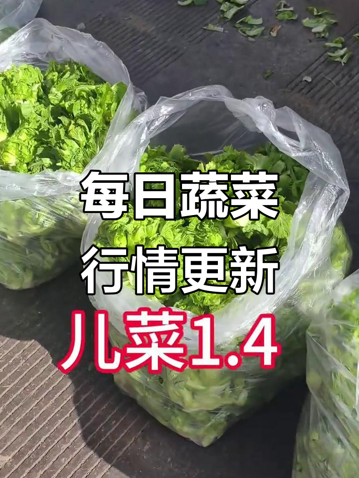 1月11日蔬菜价格大揭秘，香菜小葱到黄瓜一应俱全