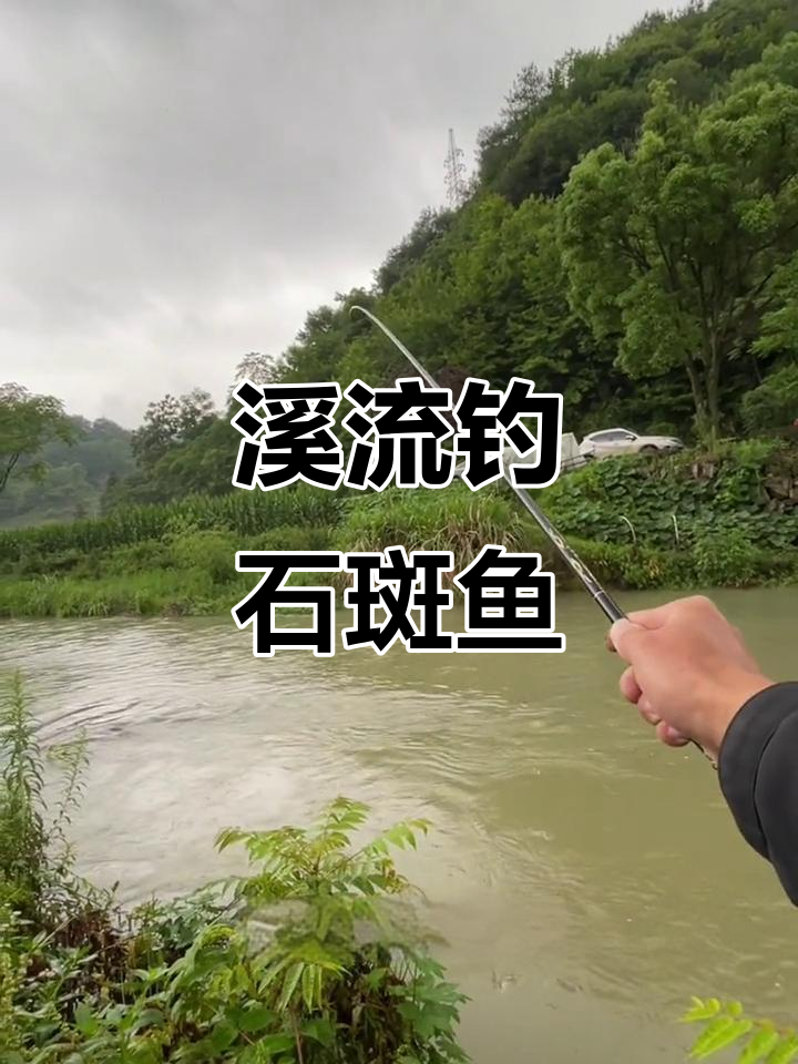溪流钓石斑鱼技巧:选对窝点,轻松捕获