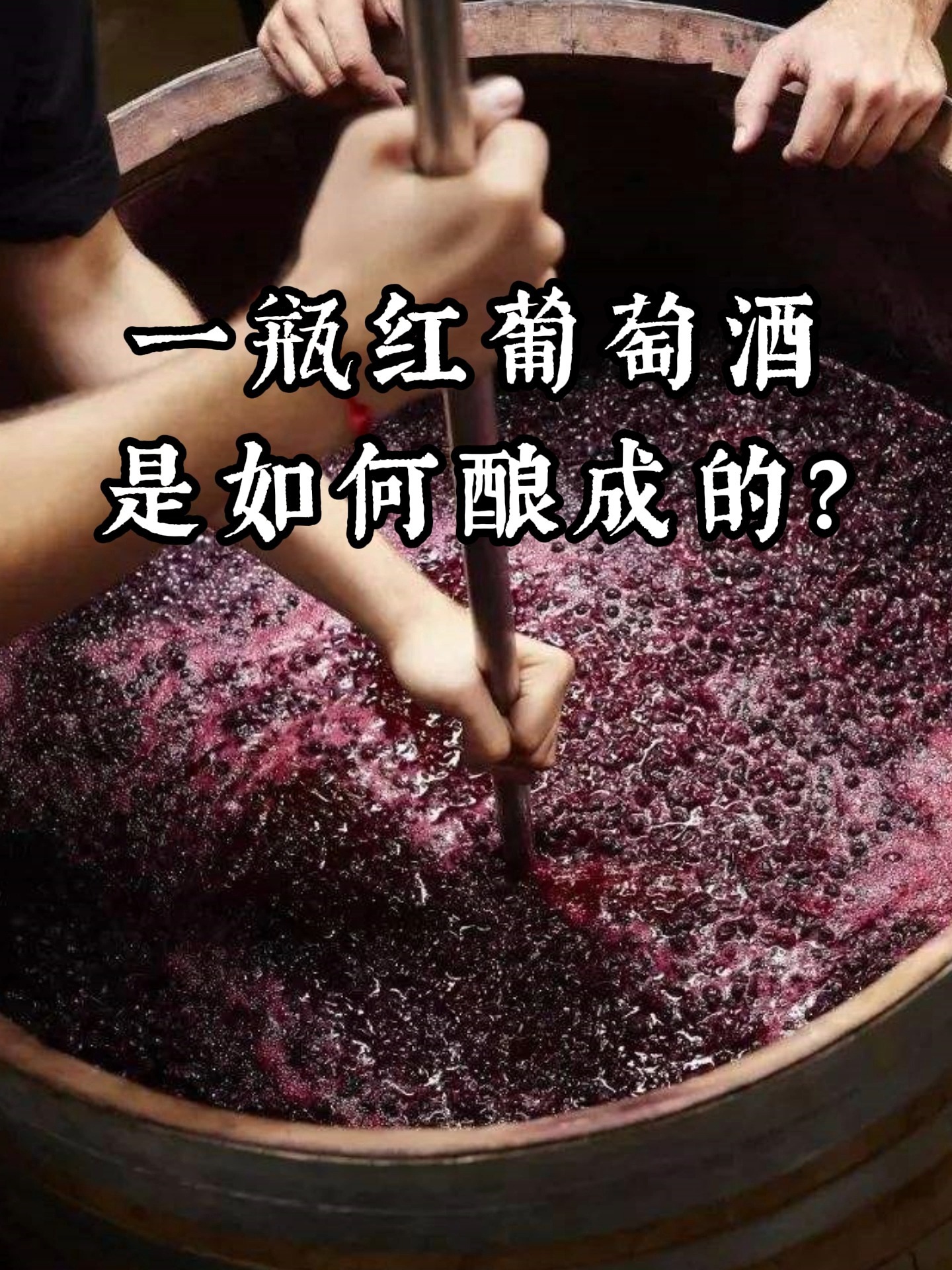 葡萄酒的酿成