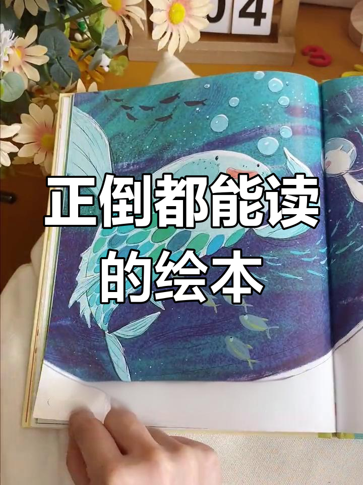 猫和鱼儿的奇妙冒险，倒着读也能看懂的故事