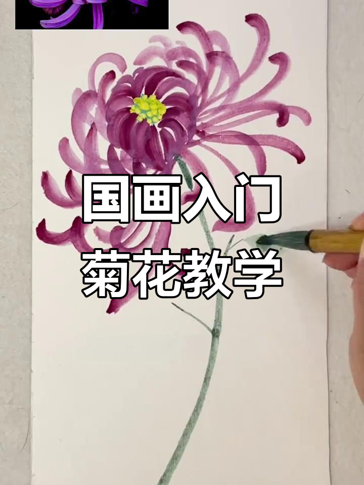 零基础学国画:从菊花入手,掌握写意技巧