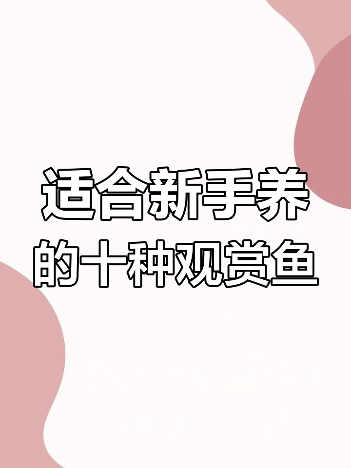 新手养鱼必看!十大最适合的观赏品种推荐