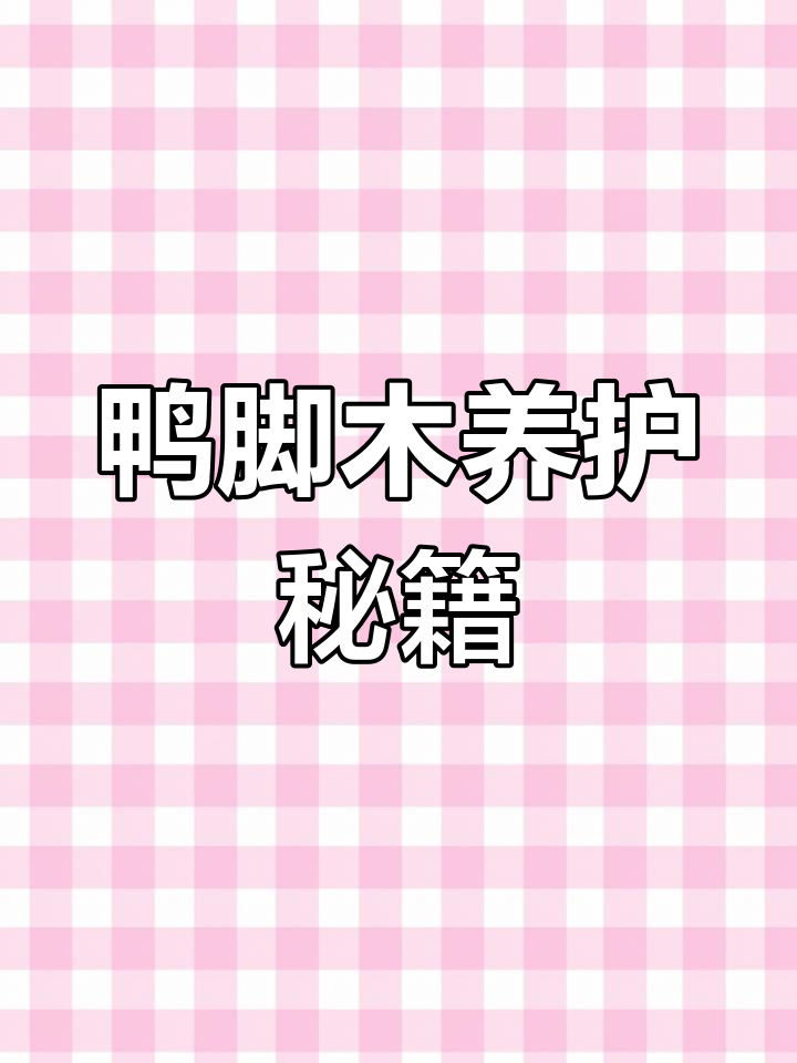 鸭脚木养护全攻略:浇水、修剪与光照技巧