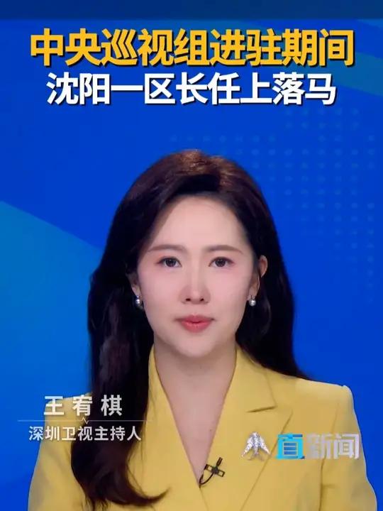中央巡视组进驻期间 沈阳一区长任上落马 据辽宁省纪委监委9月1日消息,沈阳市大东区委副书记