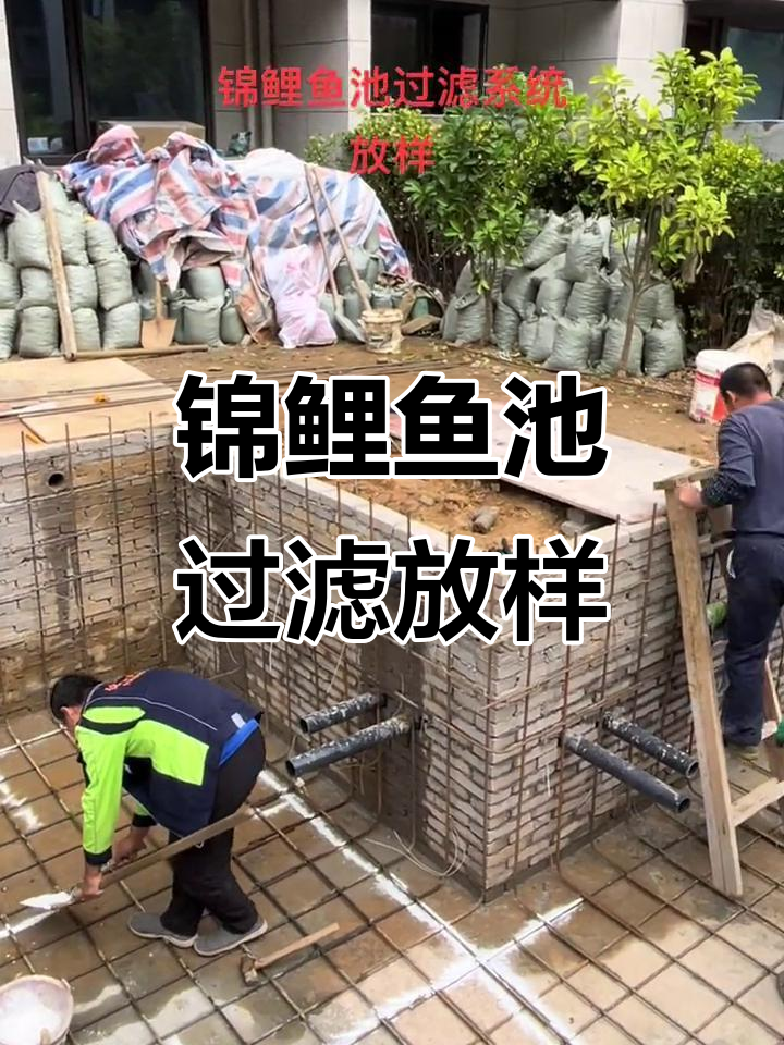 锦鲤鱼池过滤系统安装全过程,打造完美水循环