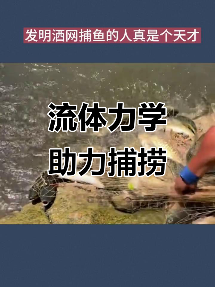 撒网捕鱼原理揭秘：流体力学让渔民轻松抓获大群鱼类