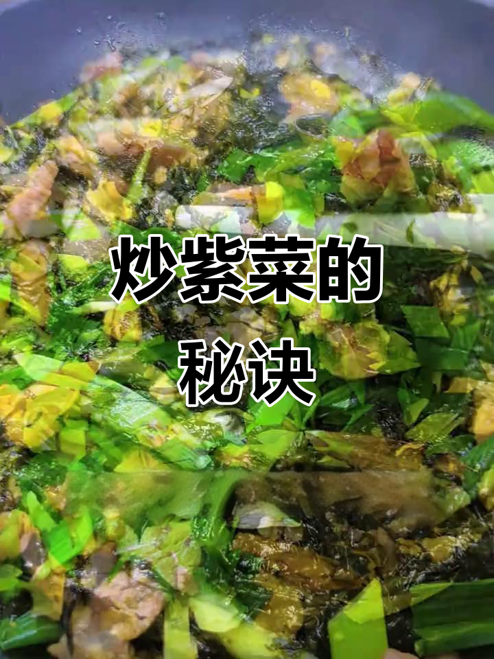 炒紫菜超简单,学会后赶紧试试!