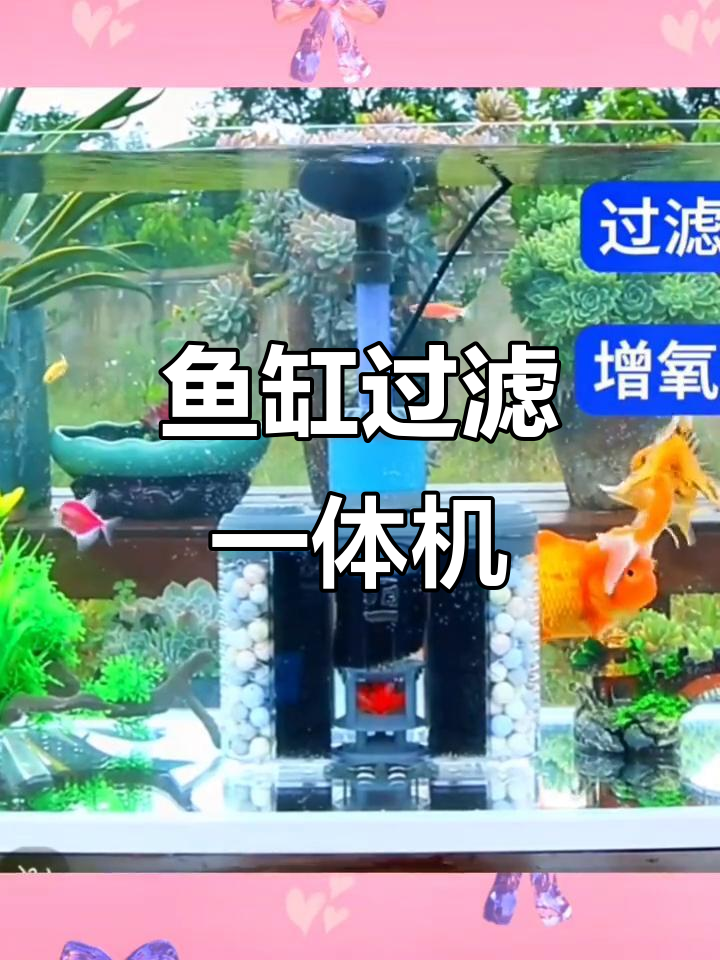 小鱼缸三合一过滤器,水妖精制氧循环水泵