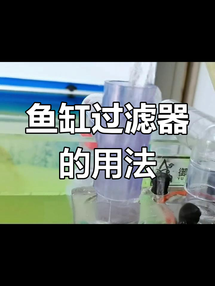 大鱼缸过滤器安装与使用指南