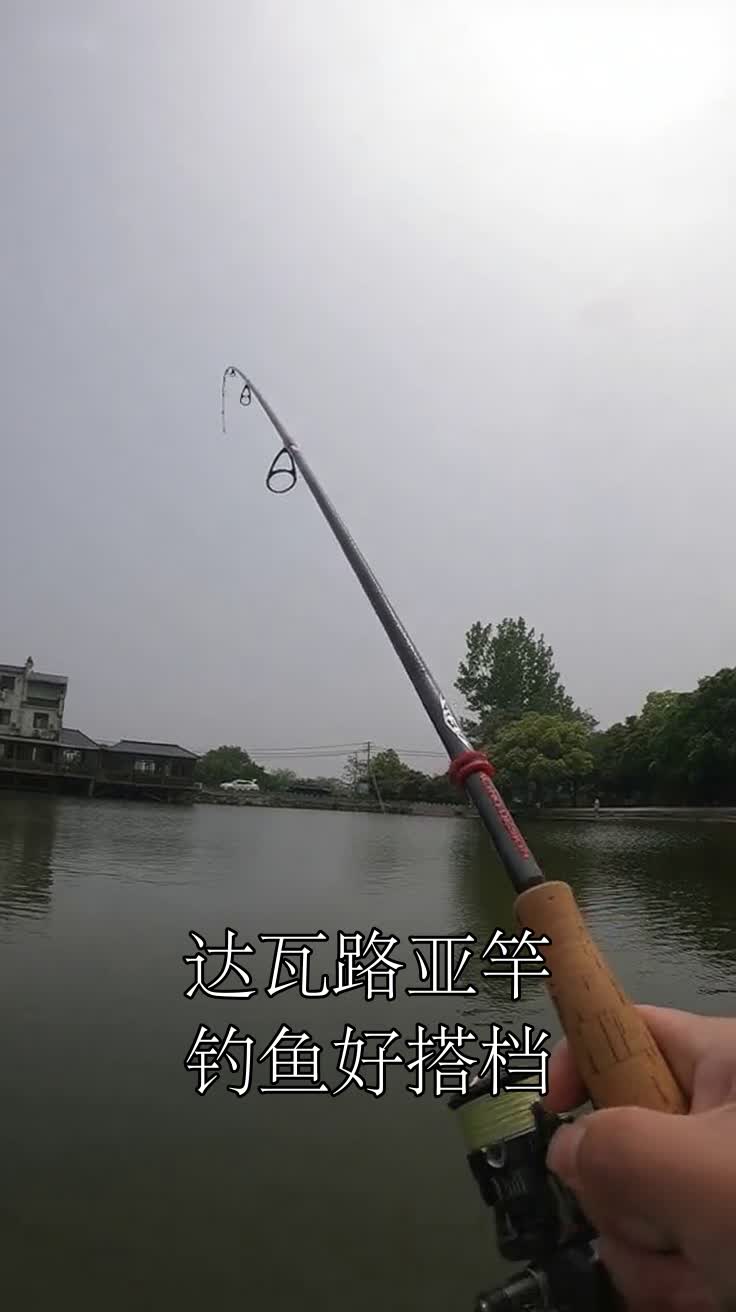 达瓦路亚竿钓鱼好搭档