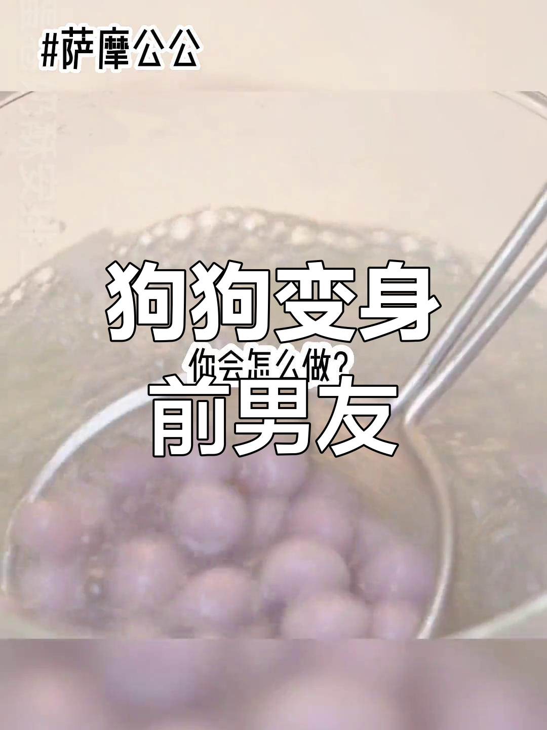 前男友变萨摩耶,我竟成了它的主人!