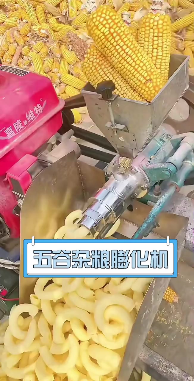 五谷杂粮膨化机