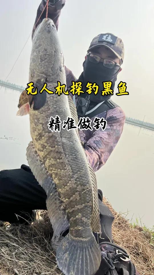 钓黑鱼加上科技,精准做钓,雷强变得简简单单 路亚最容易钓的鱼种碰上了无人机,迎来了灭顶之灾