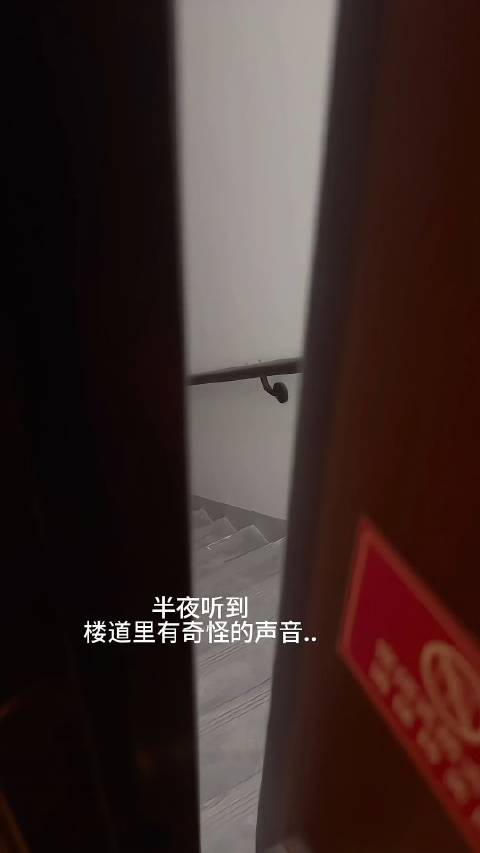 半夜楼道里发生奇怪的声音,大半夜的有点吓人,网友:整个楼的人都在听石矶娘娘吸猫