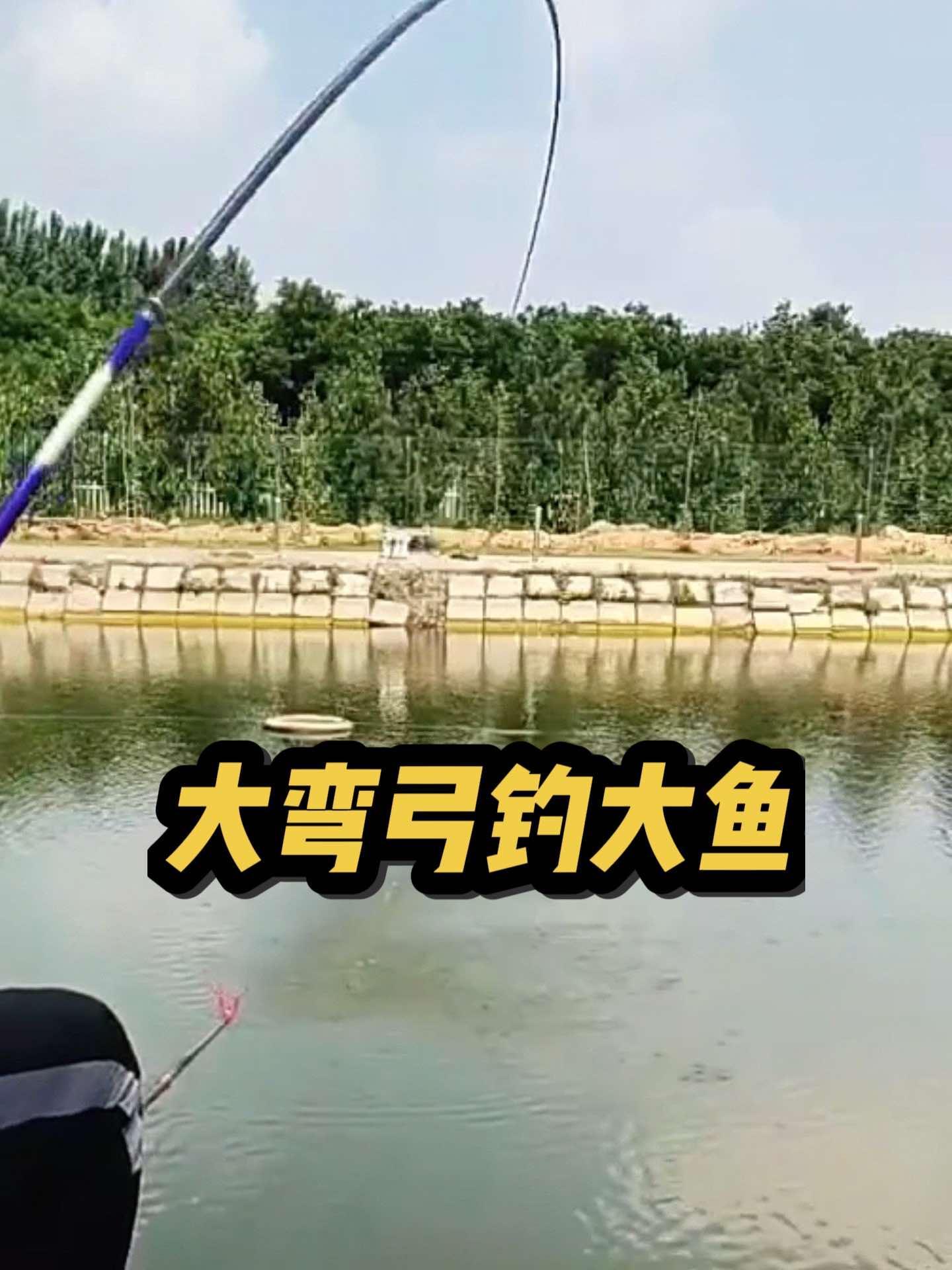 只有钓鱼人才会喜欢这样的环境 这鱼哪个钓友看了不羡慕 钓鱼的乐趣只有钓鱼人懂 解锁秋冬钓鱼
