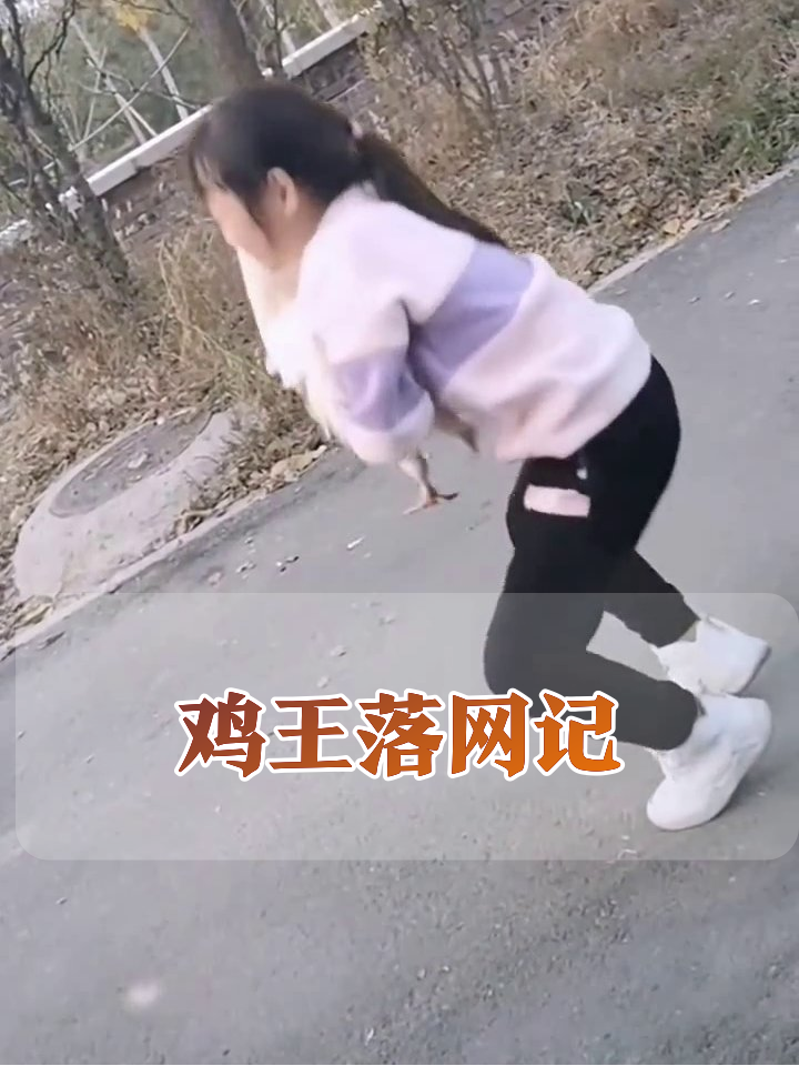 白鸡街头狂奔耍威风,萌娃一秒制服笑翻全网