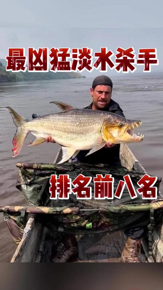 最凶猛的淡水杀手排名前八名