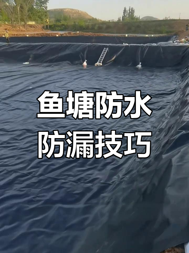 鱼塘防渗膜施工全流程,打造完美养殖池