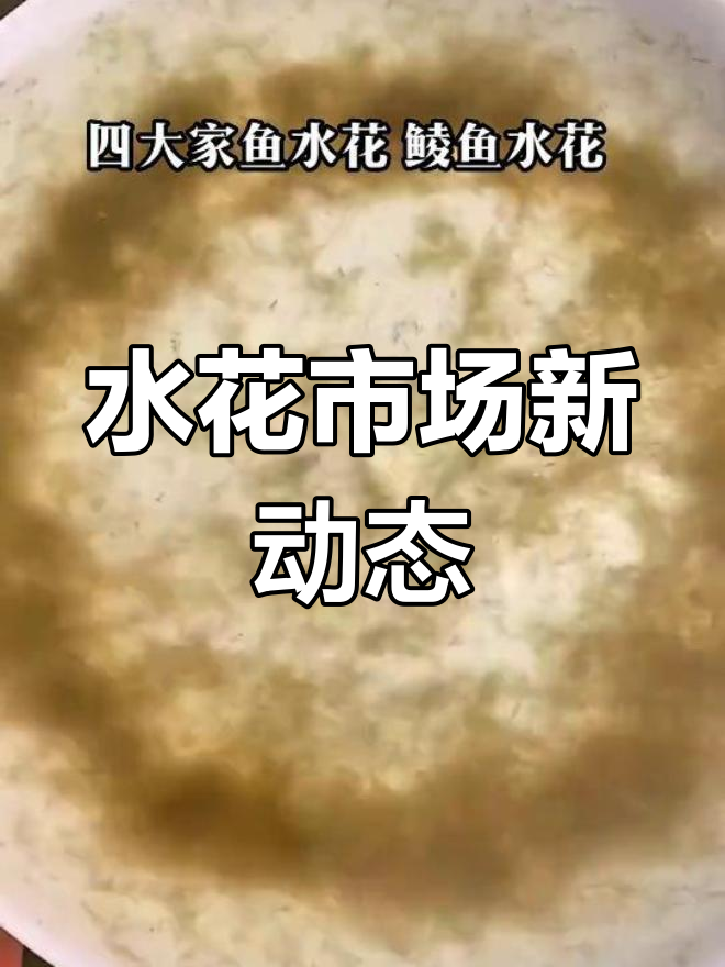四大家鱼水花上市,麦鲮土鲮同步投放