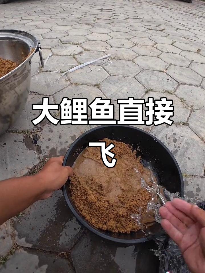 教你如何用散炮钓大鲤鱼,轻松飞起!