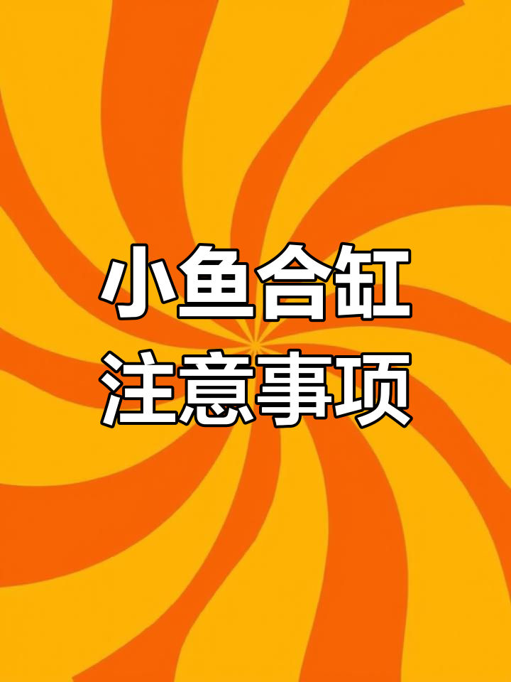 孔雀鱼苗与大鱼合缸技巧,如何保证小鱼不被吃掉