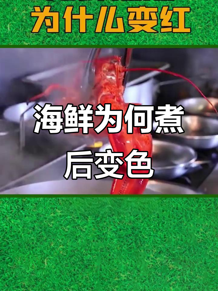 为什么海鲜煮熟会变红?揭秘背后的化学反应