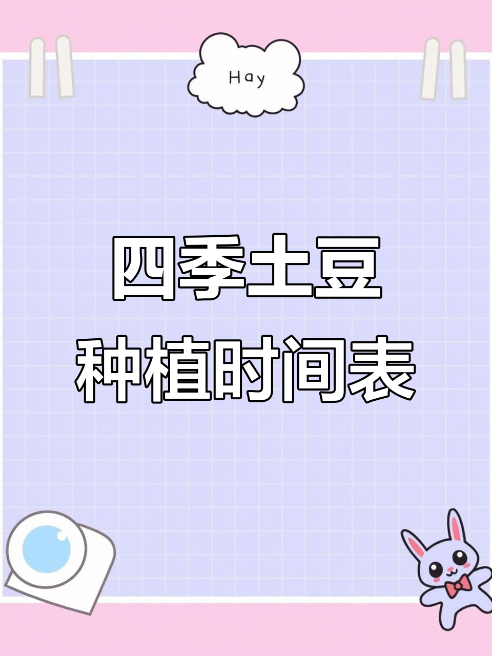 土豆一年四季种植技巧,掌握这些让你丰收无忧