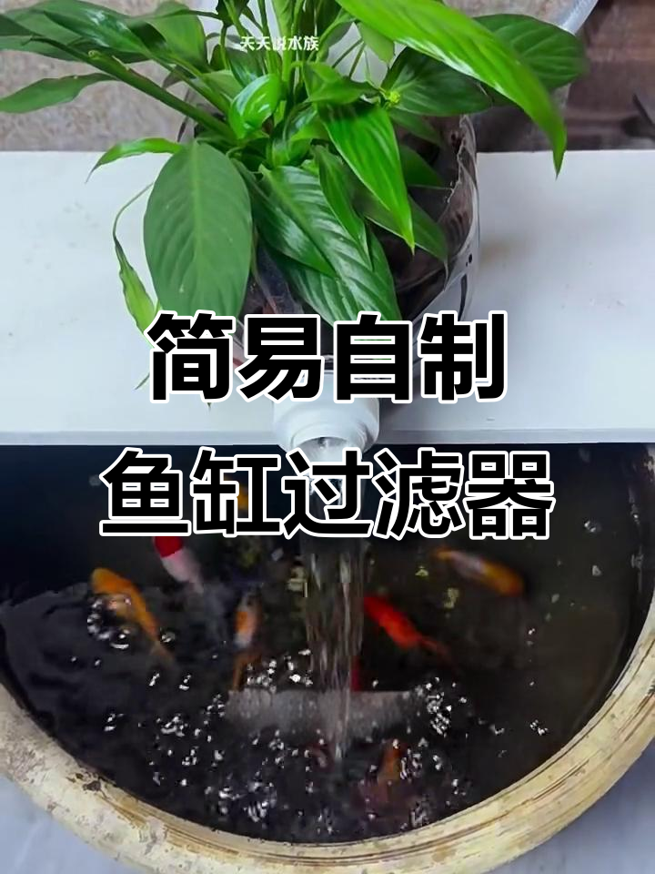 自制鱼缸过滤器教程，DIY流水过滤让水质更清澈