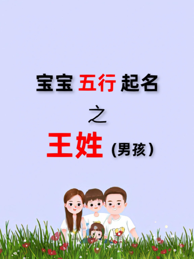 姓王的男孩子取名