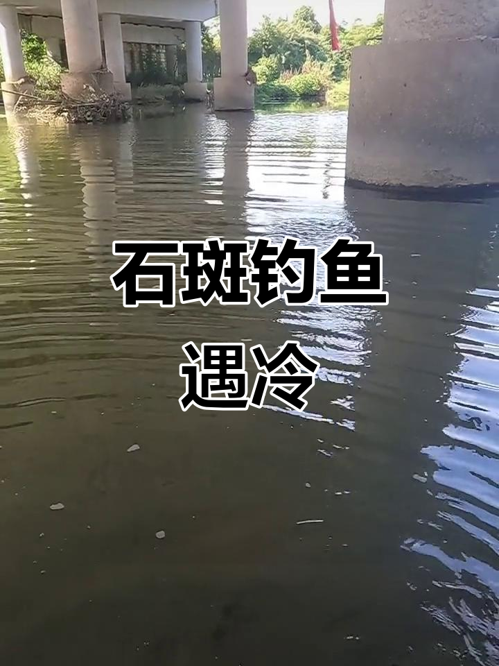 溪流钓石斑鱼,今年冷清了不少