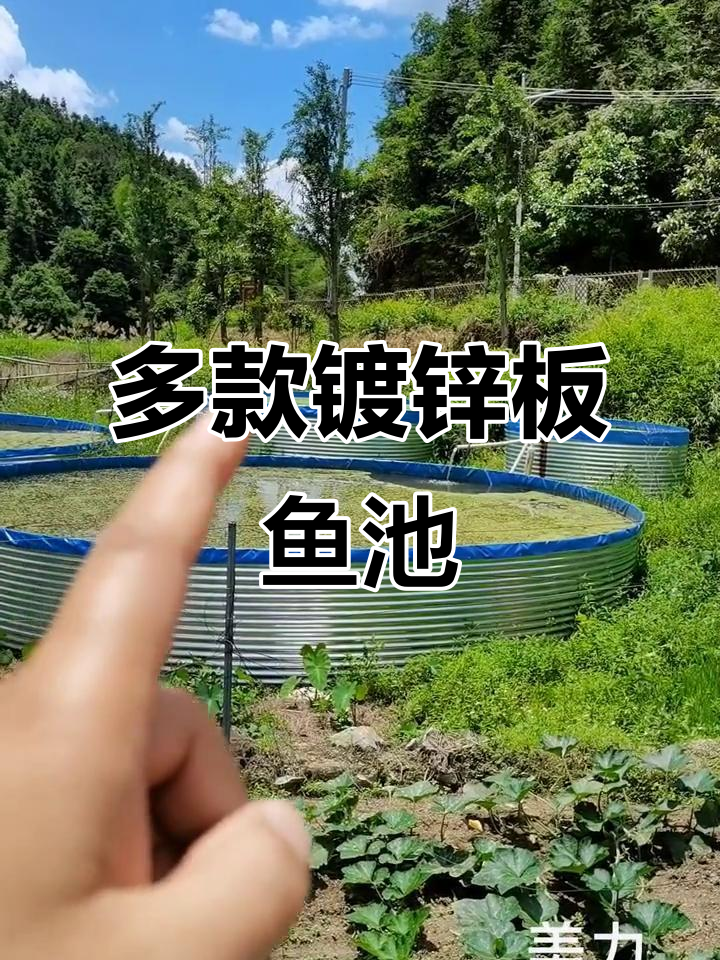 镀锌板鱼池系列:从一万斤到三千斤,多种尺寸任你选
