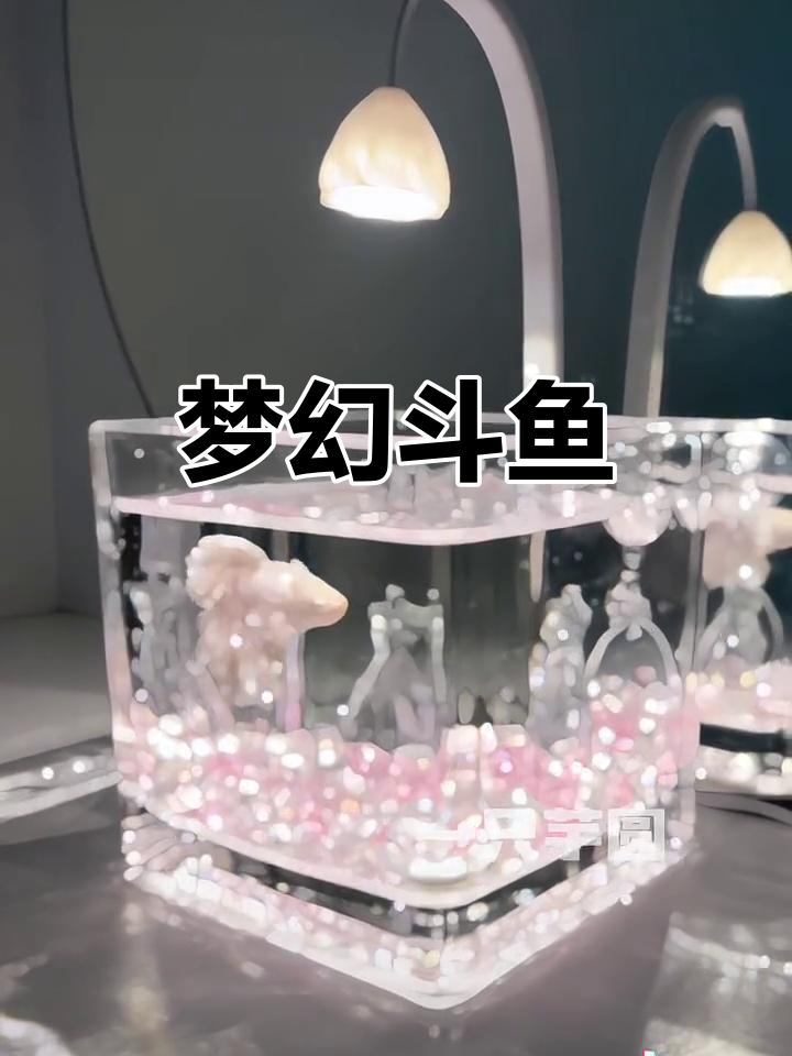 这款斗鱼简直美得不像话,仙气十足,梦幻感爆棚!