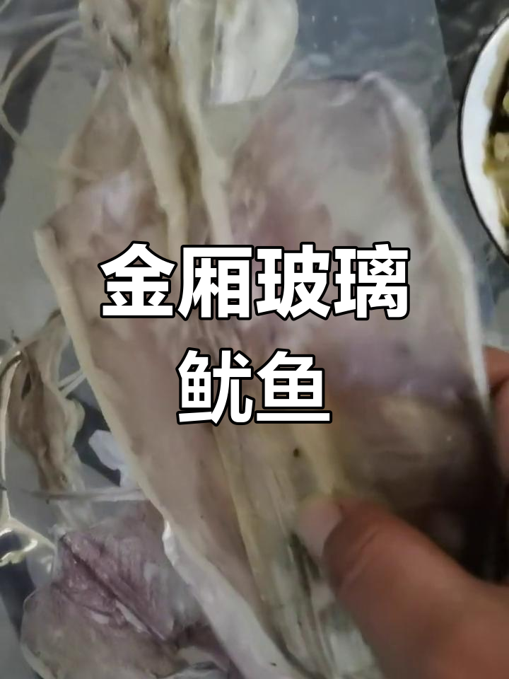 陆丰金厢镇特产:玻璃鱿鱼