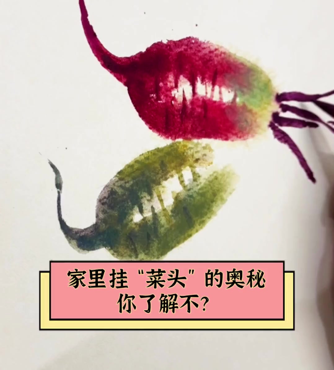 家里挂“菜头”的奥秘,你了解不?