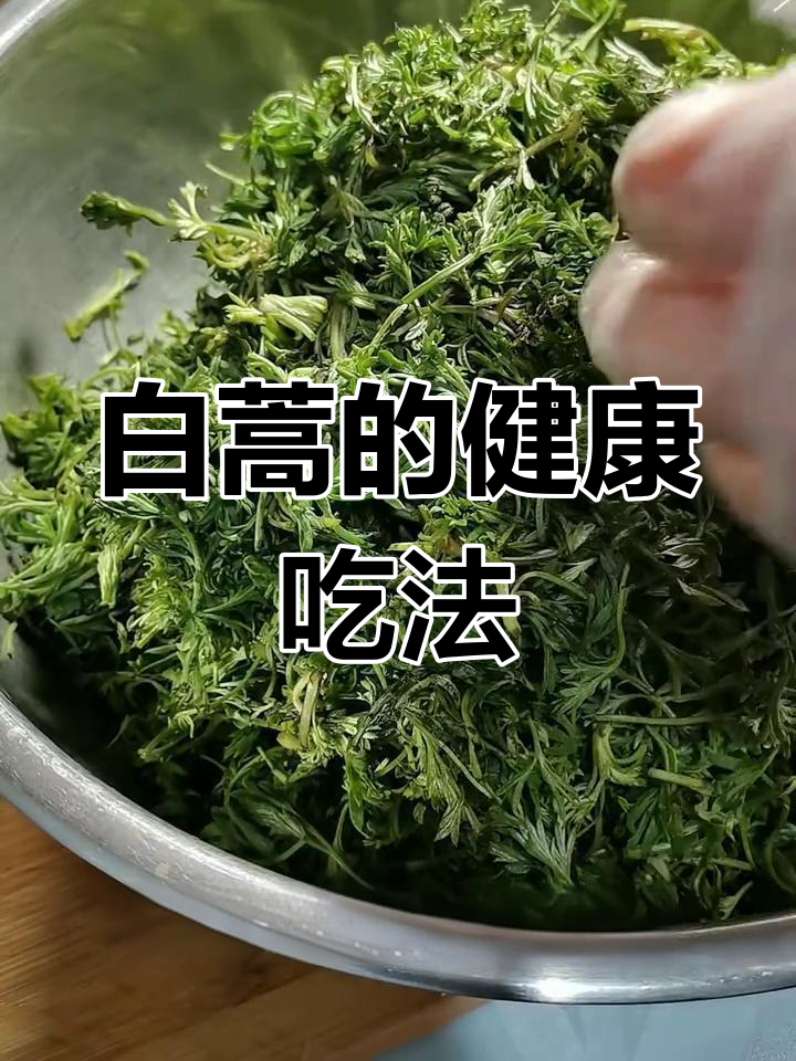 白蒿蒸食,清热解毒、护肝利胆,营养丰富,健康又美味!