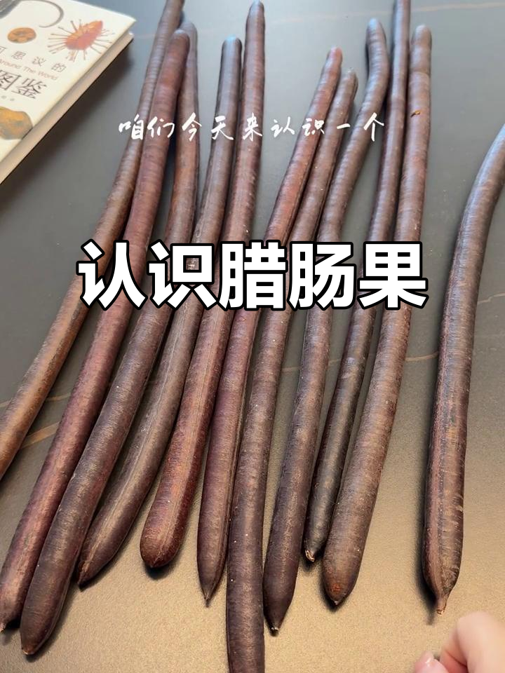 腊肠果:便秘的天然疗法,如何正确食用?