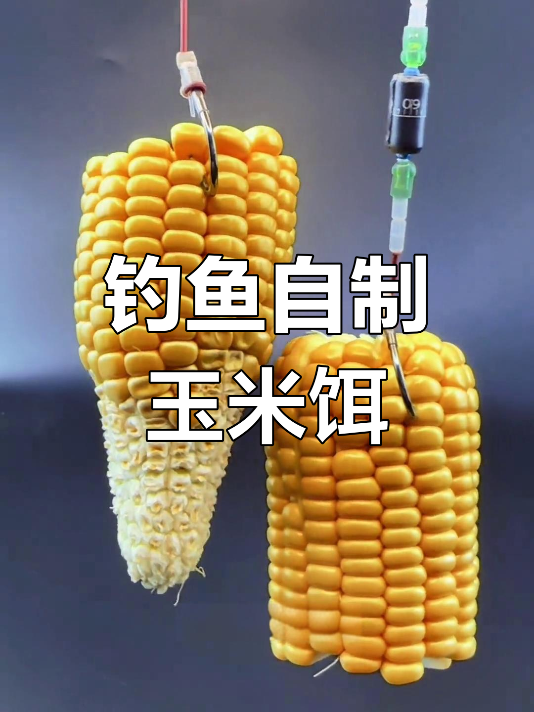 自制玉米饵料,钓草鱼鲤鱼翘嘴必备技巧