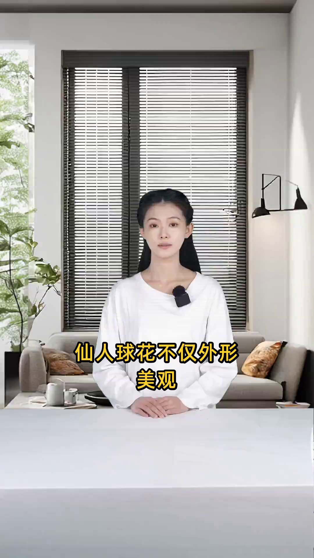 天鹅蛋仙人球花不仅美观，还具清热解毒、滋补健胃及通便润肠等多重功效