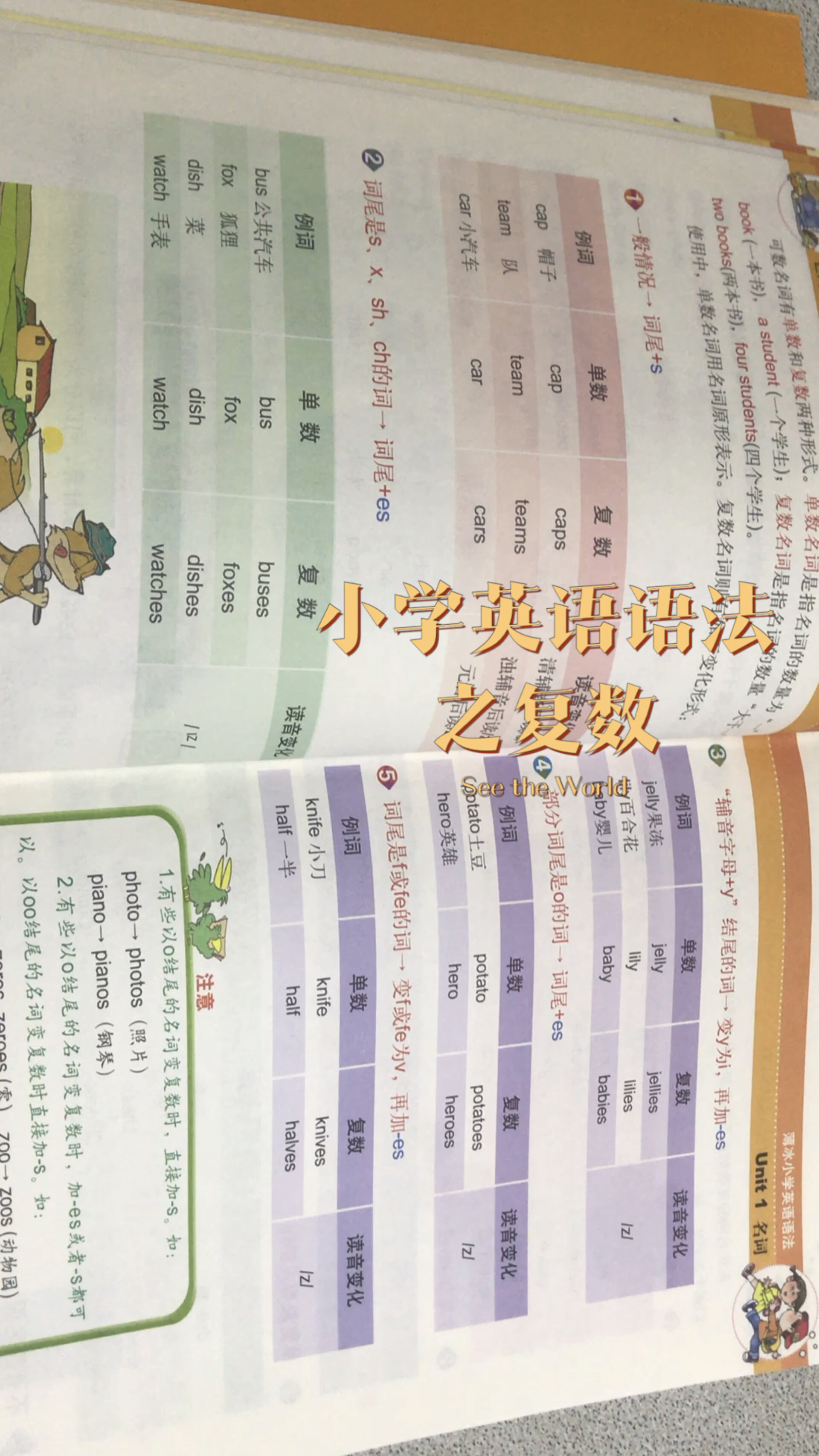 小学英语语法之名词复数