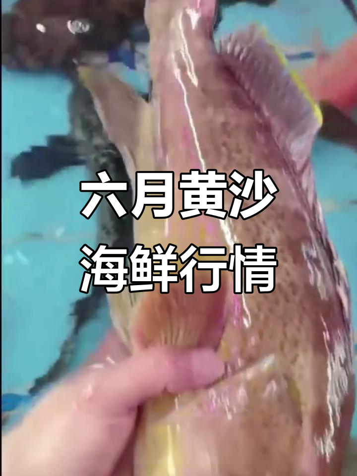 黄沙海鲜市场:红花蟹、北极贝等一应俱全,价格惊人