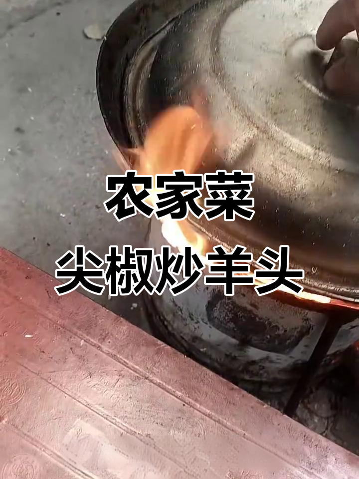 农家柴火灶炖大鹅,尖椒炒羊头肉做法揭秘