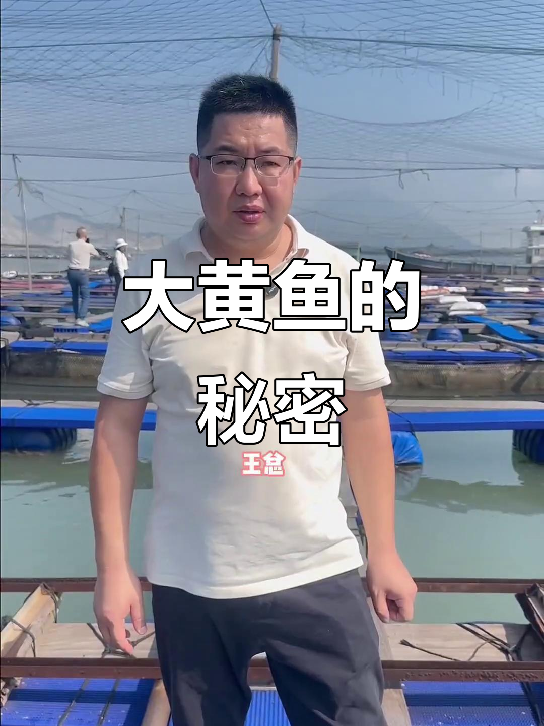 探访宁德大黄鱼养殖基地,水质差异让黄鱼更美味