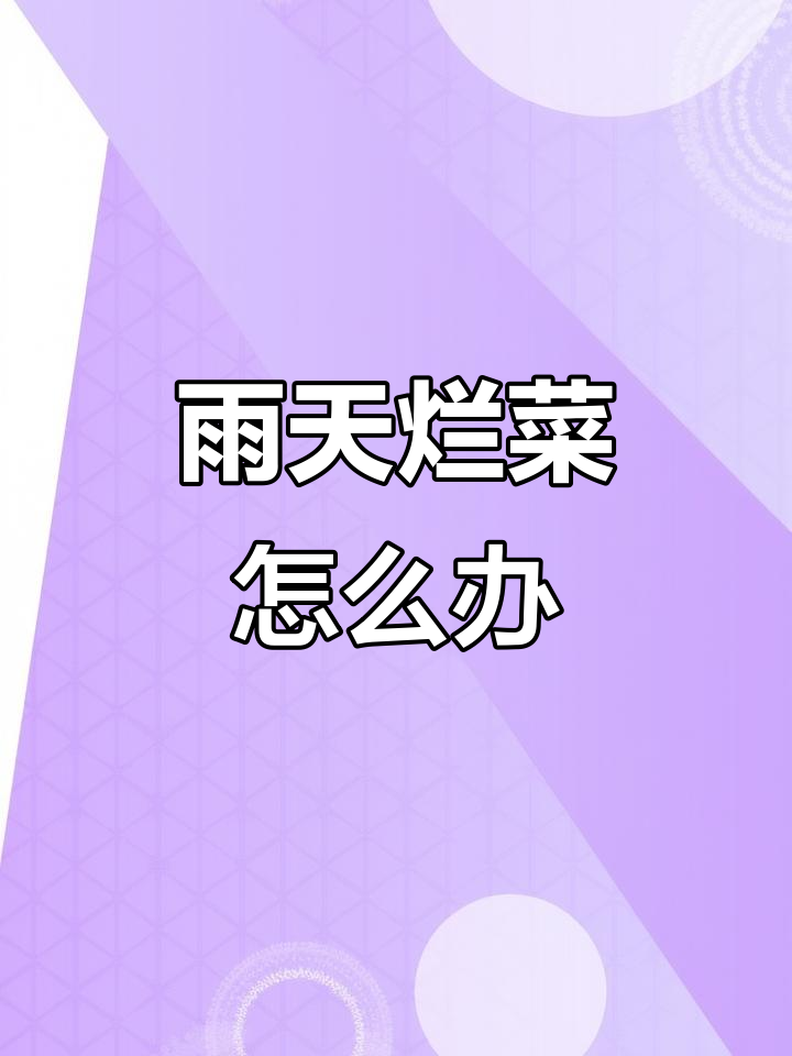 雨水多导致菜心腐烂？教你防治细菌性病害