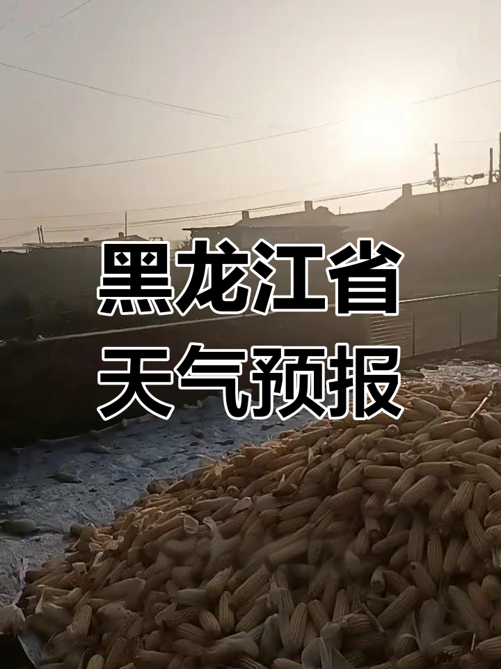 黑龙江天气预报:部分地区有雪雨来袭